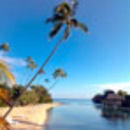 Village Pizza & Seafood